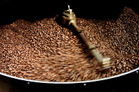 massai
